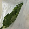 みんつ07's cooksnap of when they made 冷凍みつば.