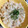 KUUUUUUMIN's cooksnap of when they made しらすと梅干しの炊き込みご飯.