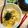梨パフェ♪'s cooksnap of when they made ふわとろ親子丼.