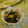 ruruchirin's cooksnap of when they made ちぢみほうれん草とクルミとじゃこのナムル.