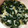 あーいーりー's cooksnap of when they made しらすのさっぱり和え.