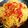 カサナミピン's cooksnap of when they made 簡単！トマトとツナのさっぱり冷製パスタ.