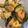 ｑｕｉｃｏ's cooksnap of when they made キュウリとシーフードのナンプラー炒め.