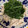 えり1222☆'s cooksnap of when they made ささみと梅肉のさっぱりおかず.