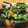 クックPXVFPN☆'s cooksnap of when they made 簡単！もちもちいももち 甘辛磯辺焼.