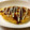 春風桃之介's cooksnap of when they made キャベツ消費！とんぺい焼き風.