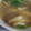 Y0130's cooksnap of when they made 納豆とえのきの簡単スープ.