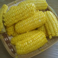 ほのけんmama's cooksnap of when they made 夏本番！蒸しとうもろこし♡お塩だけで。.