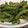卵せんべい's cooksnap of when they made いんげんの胡麻和え.