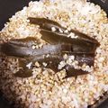 たぁちぃまま's cooksnap of when they made 蕎麦の実ご飯.