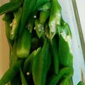 あやなや's cooksnap of when they made 白だしオクラマリネ★簡単常備菜・お弁当！.