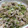 クックXLS5X4☆'s cooksnap of when they made 疲れ解消！豚肉と梅干のさっぱり炒め.