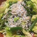 ぐーたらレシピ研究所's cooksnap of when they made しらすとお葱サラダ(磯●からのアレンジ).