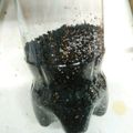 WisteriaJr's cooksnap of when they made めちゃめちゃ便利！和えるだけ胡麻和えの素.