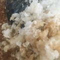 せあぶ's cooksnap of when they made 鯖のみぞれ煮　.