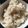 クックLYYTIX☆'s cooksnap of when they made 煎り酒炊き込みご飯.