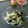 栗丸うさぎ's cooksnap of when they made さっぱり美味しい♪大根サラダ.