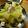 低カロ探検隊's cooksnap of when they made いたちきゅうりと鶏肉の煮物♪冬瓜でも！.