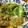 低カロ探検隊's cooksnap of when they made 簡単！ヘルシー！豆苗と麩の卵とじ.