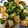 クックIKDMZ5☆'s cooksnap of when they made ブロッコリーとエビのマヨ炒め.