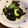 トムトム★'s cooksnap of when they made 簡単！しらすとわかめときゅうりの酢の物.