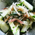 crystaI's cooksnap of when they made 超簡単シソとミョウガときゅうりの梅肉和え.