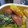 紅葉ｙ's cooksnap of when they made かぼちゃとオクラのチーズ炒め♪.