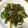 ☆たか☆♪'s cooksnap of when they made 簡単!!満足!!チンジャオロース.