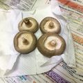 ジラワフ's cooksnap of when they made きのこの保存方法　冷凍すらめんどくさい私.