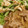 ゆいこ２１００'s cooksnap of when they made «冷凍保存» 牛丼用.