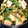 福ちゃん大好き♡'s cooksnap of when they made かまぼこといんげんの胡麻和え.
