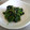 むいどん's cooksnap of when they made すっぱい☆ほうれん草のごま和え.