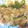 じゅるちゃん's cooksnap of when they made 豚のしょうが焼き.