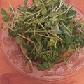 ★ぺっこ★'s cooksnap of when they made 簡単3分♪豆苗のタイ風しゃきしゃきサラダ.