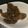 りゅうたろうラブ's cooksnap of when they made 砂肝の佃煮.