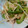 よっちゃんもち★'s cooksnap of when they made 簡単！味付豚こまのもやしとピーマン炒め.