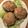 チーム具沢山's cooksnap of when they made しいたけの鶏ひき肉詰め蒸し.