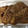 れんこんな's cooksnap of when they made ■幼児食■魚を食べよう！さんまのかば焼き.