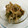 marriott's cooksnap of when they made マイタケのマリネ　ごま油で.