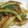 xiahmana's cooksnap of when they made 簡単＊千切りキュウリの梅おかか和え.