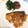 kocochama's cooksnap of when they made 旨い！ブリのソテーニンニクマヨソース.