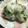 クックJHN36P☆'s cooksnap of when they made 塩昆布と枝豆のおにぎり.