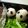 下町食い倒れオヤジ's cooksnap of when they made パンダVS謎の３匹（パンダ編）キャラ弁.