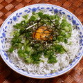 のば☀のば's cooksnap of when they made ネギ玉☆釜揚げしらす丼.