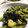 ちづりんも's cooksnap of when they made なすといんげんの胡麻和え.