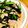 sky3513's cooksnap of when they made 空芯菜のナンプラー炒め.