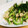 もぐドン's cooksnap of when they made ゴーヤ・みょうがと大根の鶏肉さっぱりあえ.