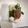 ma___111's cooksnap of when they made ネギトロのせ冷奴.