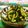 赤い電話's cooksnap of when they made ゴーヤ消費に★簡単常備菜.