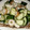 ёdey2upё's cooksnap of when they made やみつききゅうりとちくわ.